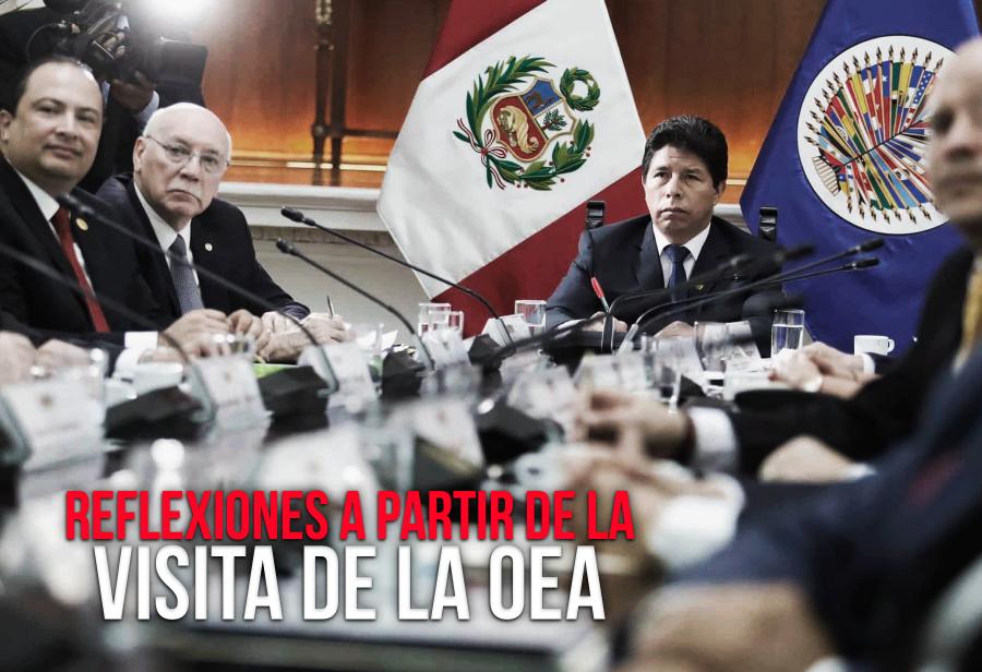 Reflexiones a partir de la visita de la OEA