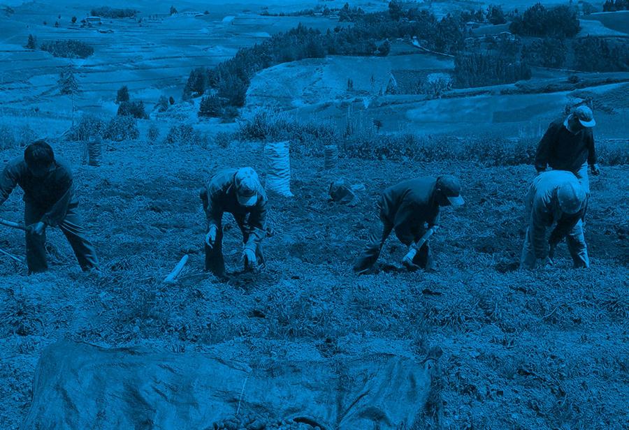 Miles de hectáreas sin norma que fomente inversiones y empleo formal