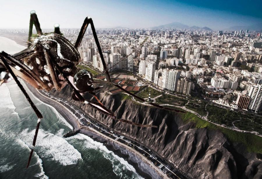 ¿Lima, capital del dengue?