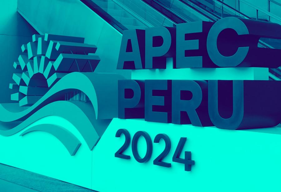 APEC: pobreza y bolsón electoral